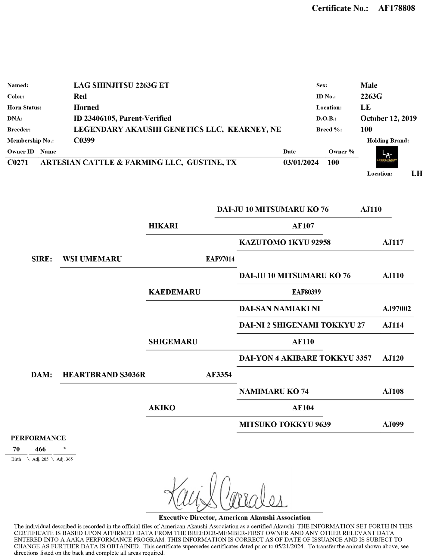 Semen - LAG Shinjitsu 2263G ET