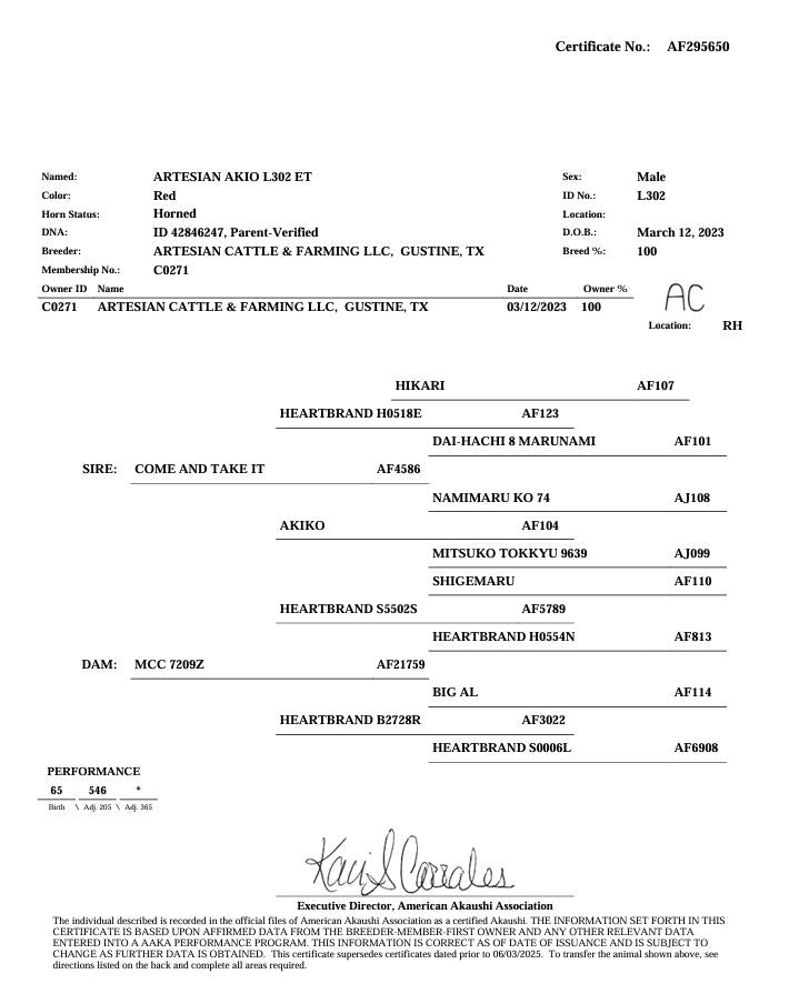 Semen - Artesian Akio - L302 ET