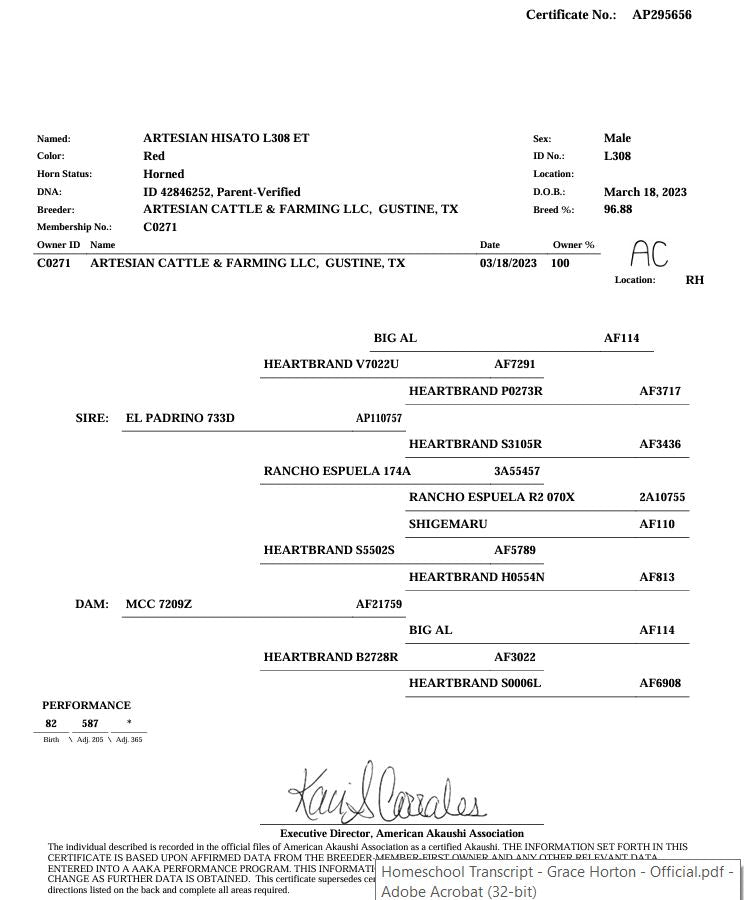 Semen - Artesian Hisato - L308 ET