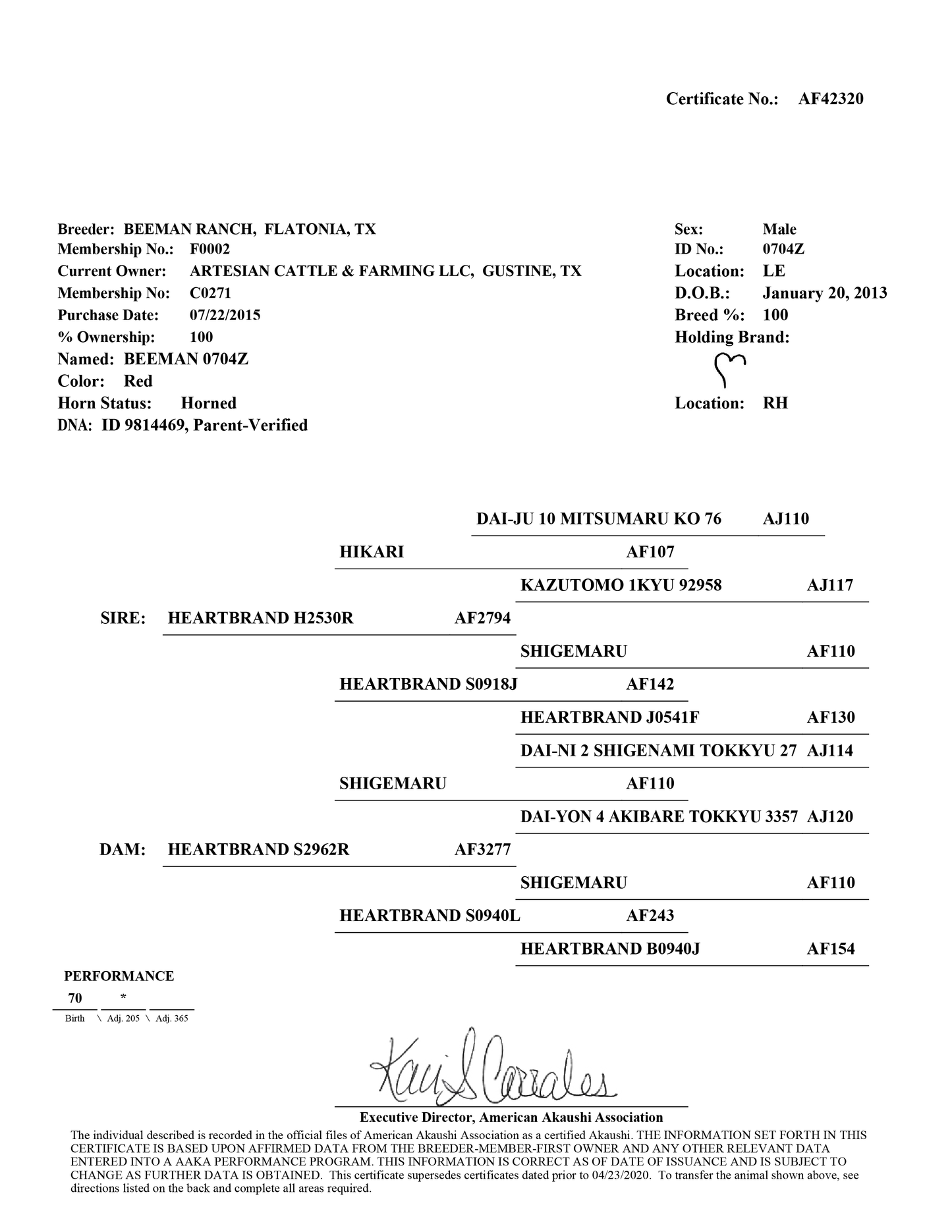 Semen - Beeman - 0704Z